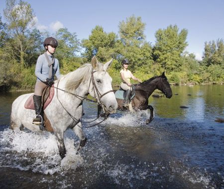 Randonnée équestre