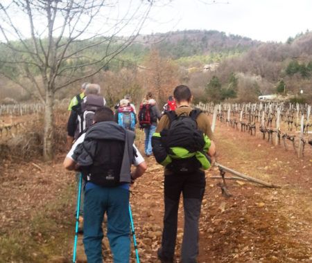 Randonnée pédestre